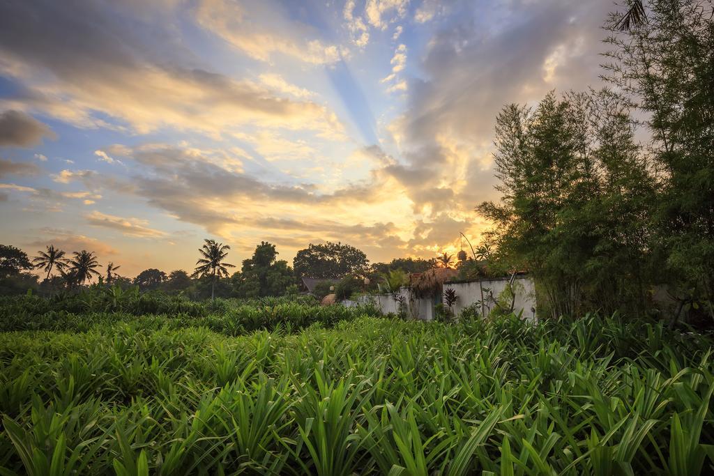 The Pandan Tree Villas Canggu  Luaran gambar