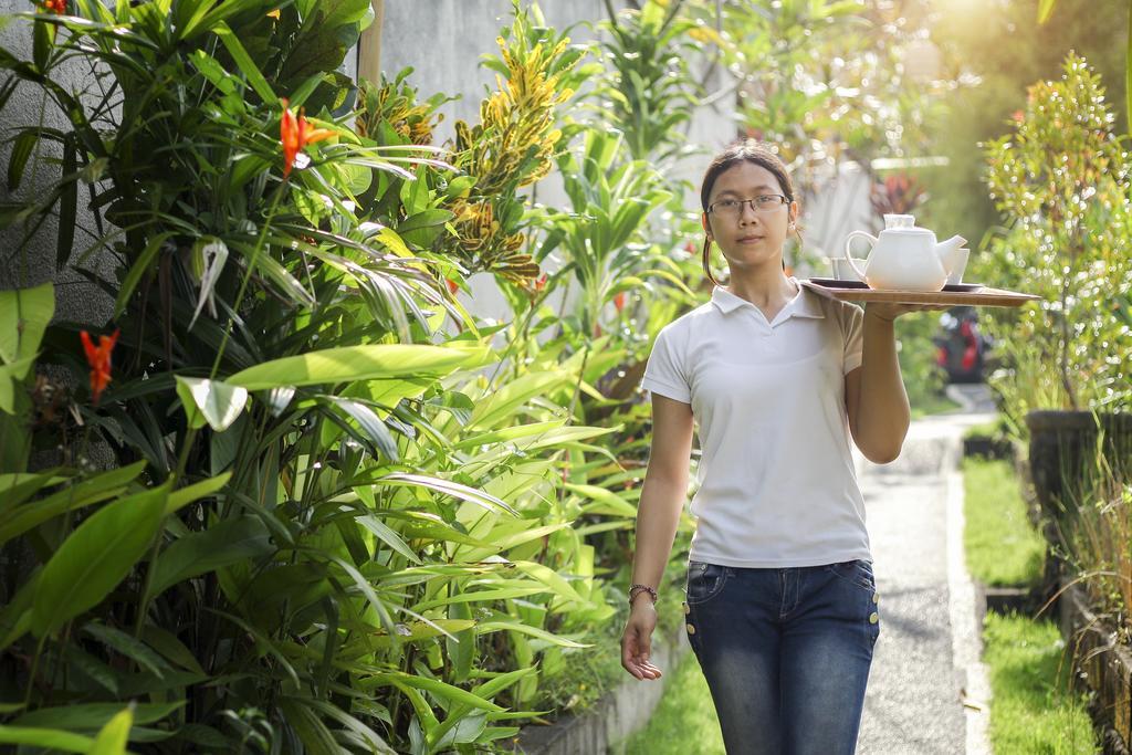 The Pandan Tree Villas Canggu  Luaran gambar
