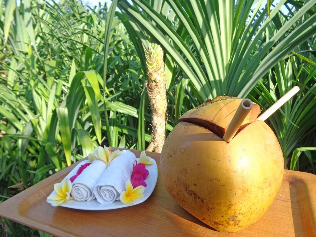 The Pandan Tree Villas Canggu  Luaran gambar